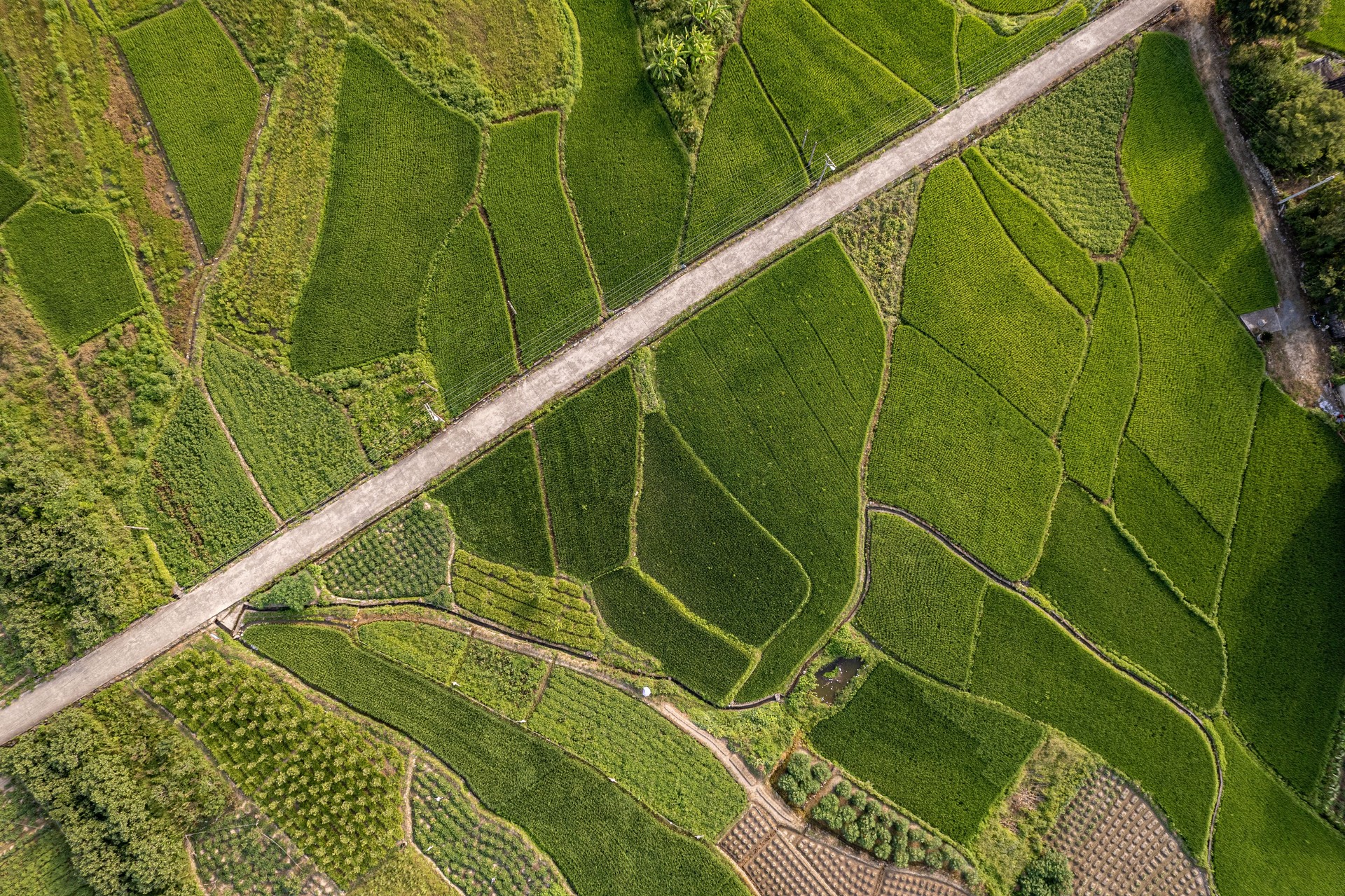 Aerial texture map of rural farmland